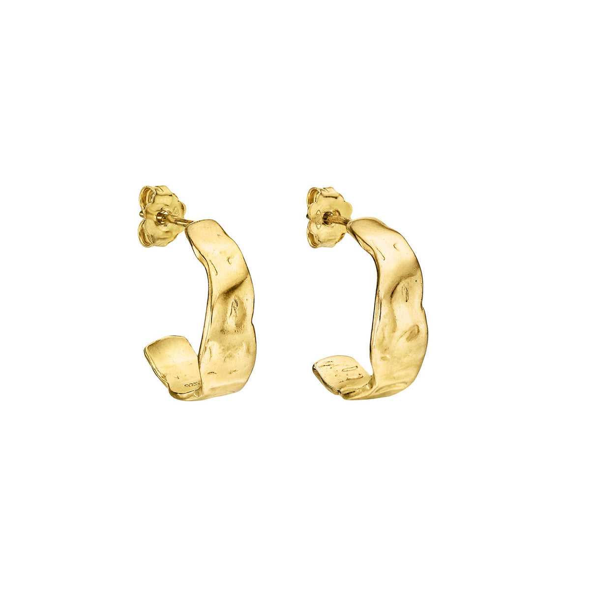 Ear Hoops Earrings