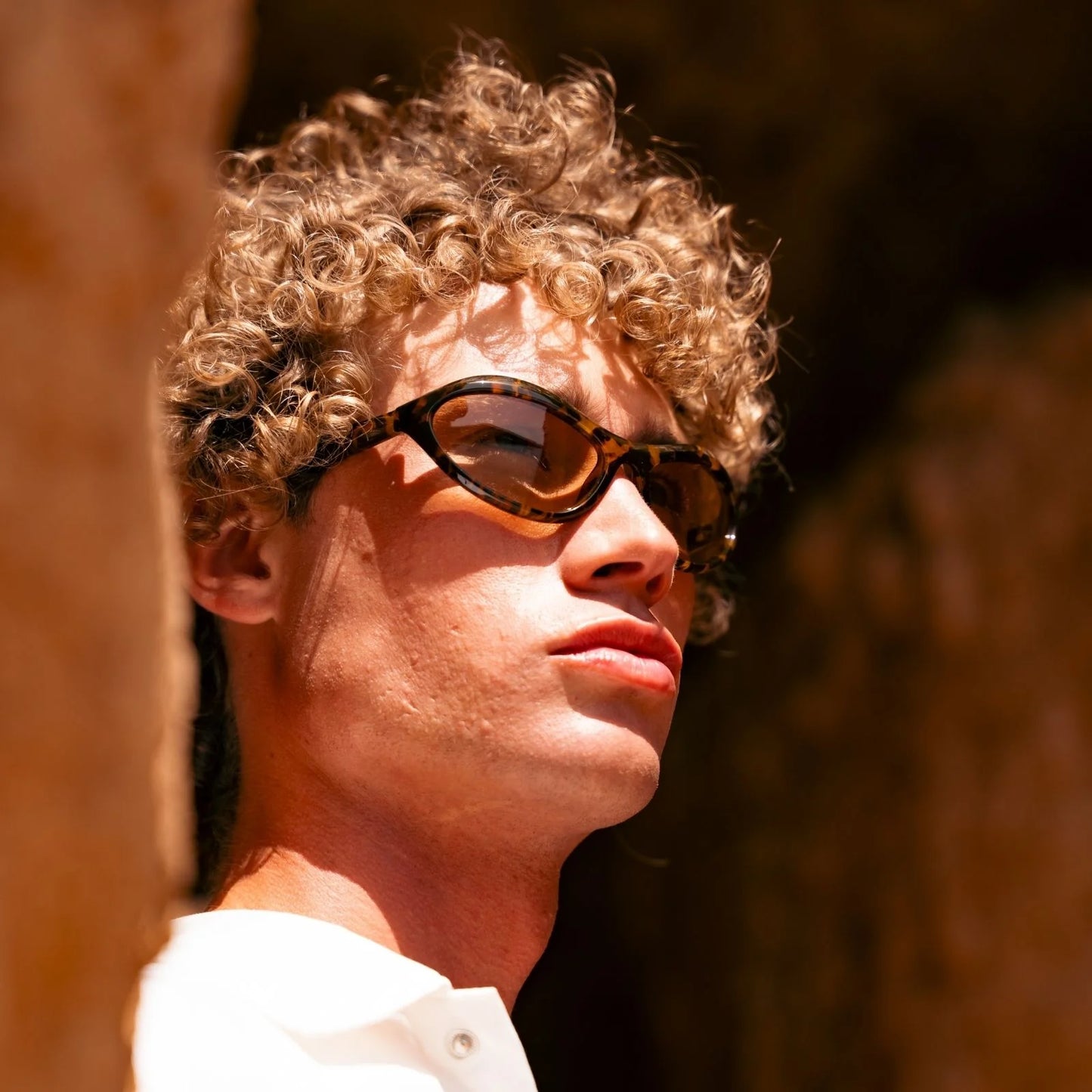 Phoenix Sunglasses